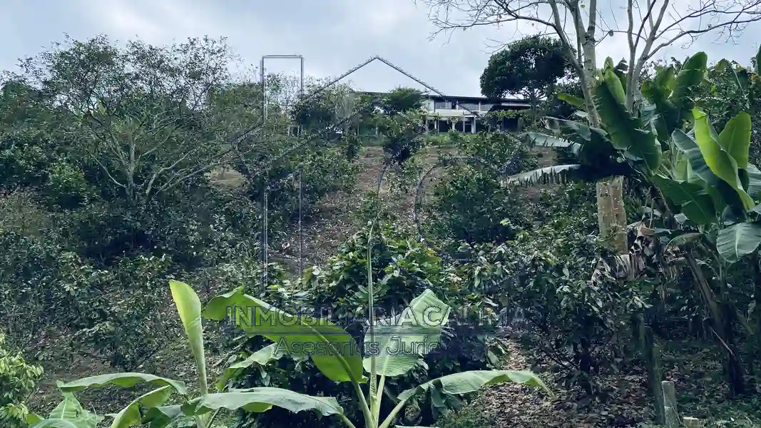 Casa Campestre, Circasia